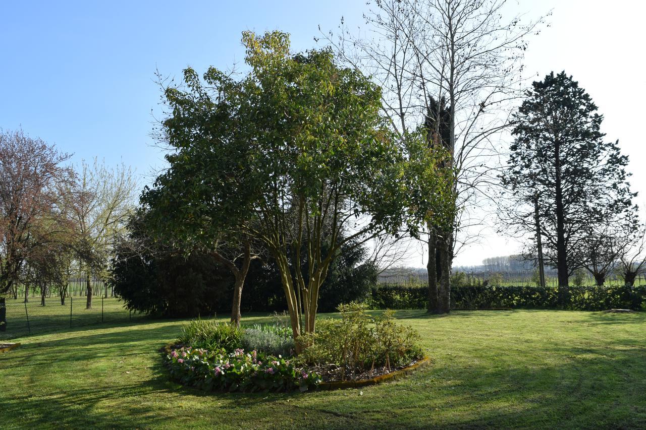 Bed and Breakfast Al Vecchio Fienile San Michele al Tagliamento Exterior foto